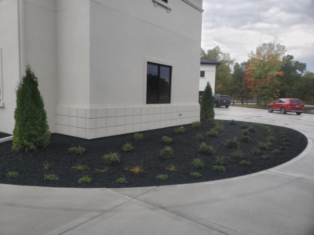 Curved residential landscape bed in Wisconsin Dells with arborvitae evergreen trees, ornamental shrubs, dark premium mulch, and concrete driveway surrounding estate home corner