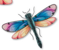 Spectra Dragonfly Wall Decor 12"