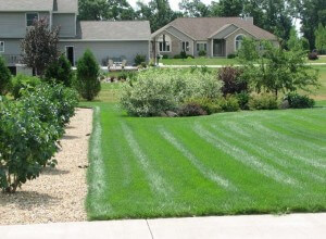 lawncare-2