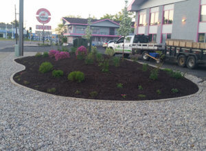 Plantings, mulching, berm, edging, stone